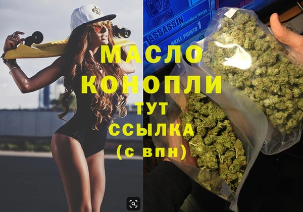 индика Абинск