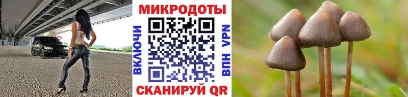 Галлюциногенные грибы Magic Shrooms Лодейное Поле